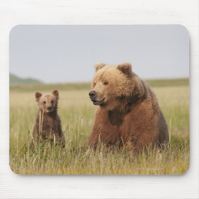 Alfombrilla De Ratón Oso grizzly con Cub (Frente)