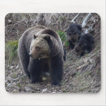 Oso grizzly con Cubs Mousepad