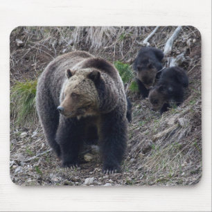 Alfombrilla De Ratón Oso grizzly con Cubs Mousepad