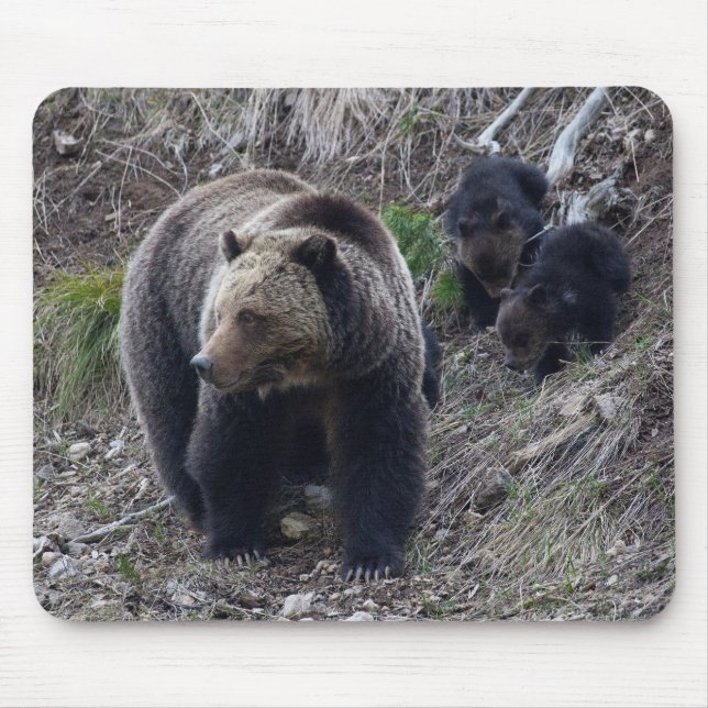 Alfombrilla De Ratón Oso grizzly con Cubs Mousepad (Frente)