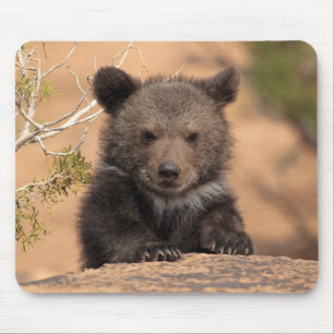 Alfombrilla De Ratón Oso grizzly Cub