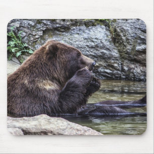 Alfombrilla De Ratón Oso grizzly hermoso de Brown