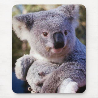 Alfombrilla De Ratón Oso Koala Con Un Oso Koala
