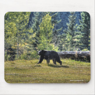 Alfombrilla De Ratón Oso Negro cruzando una pastelería de rancho