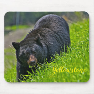 Alfombrilla De Ratón Oso negro de Cojín-Yellowstone del ratón