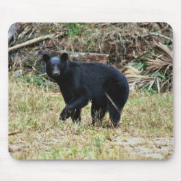 Alfombrilla De Ratón Oso Negro de Florida