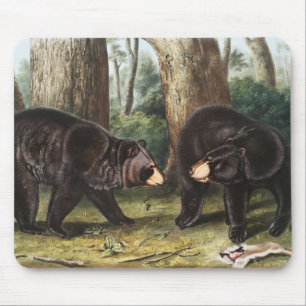Alfombrilla De Ratón Oso Negro Estadounidense Ilustracion Ursus America