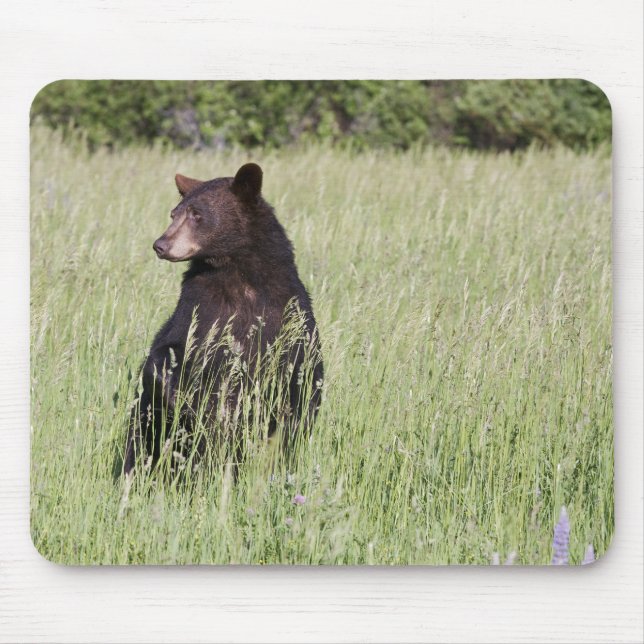 Alfombrilla De Ratón Oso negro Mousepad (Frente)
