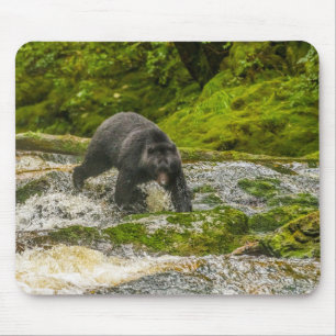 Alfombrilla De Ratón Oso negro pescando   Qua Creek Columbia Británica