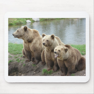 Alfombrilla De Ratón Oso osos animal personalizar Aniversarios