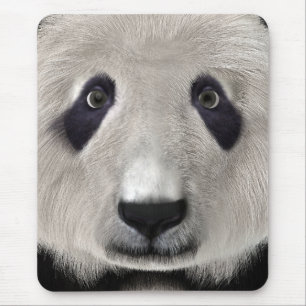 Alfombrilla De Ratón Oso Panda