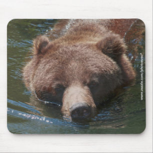 Alfombrilla De Ratón Oso Pardo