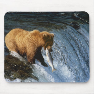 Alfombrilla De Ratón Oso Pardo de Alaska atrapando salmón en Brooks