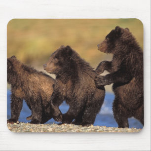 Alfombrilla De Ratón oso pardo, Ursus arctos, oso grizzly, Ursus