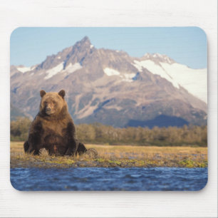 Alfombrilla De Ratón oso pardo, Ursus arctos, oso grizzly, Ursus
