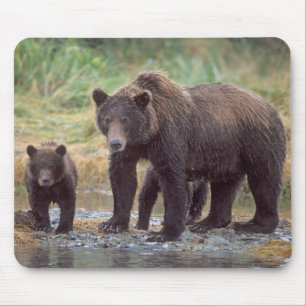 Alfombrilla De Ratón oso pardo, Ursus arctos, oso grizzly, Ursus 3