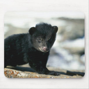 Alfombrilla De Ratón Oso-pequeño cachorro negro