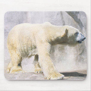 Alfombrilla De Ratón oso polar