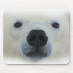 Alfombrilla De Ratón Oso polar