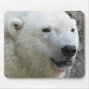 Alfombrilla De Ratón Oso polar