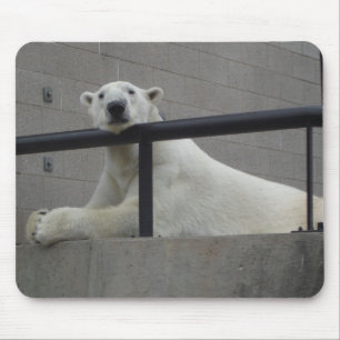 Alfombrilla De Ratón Oso polar