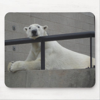 Alfombrilla De Ratón Oso polar