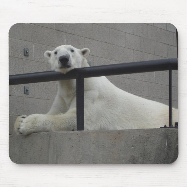 Alfombrilla De Ratón Oso polar (Frente)