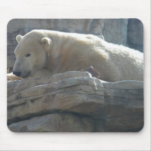 Alfombrilla De Ratón Oso polar
