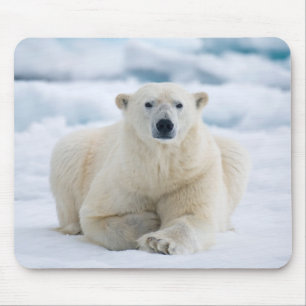 Alfombrilla De Ratón Oso polar adulto en la manada de hielo de verano