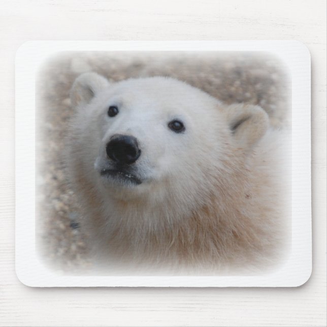 Alfombrilla De Ratón Oso polar Cub (Frente)