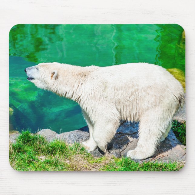Alfombrilla De Ratón Oso polar de Mousepad (Frente)