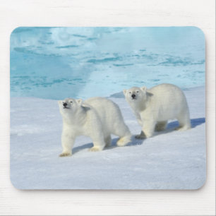 Alfombrilla De Ratón Oso polar, dos tazas en hielo de paquete, Ursus