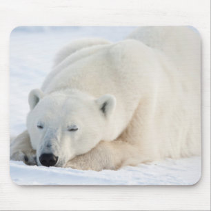 Alfombrilla De Ratón Oso polar en invierno