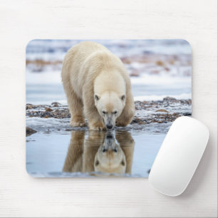 Alfombrilla De Ratón Oso Polar Mirando su Reflejo