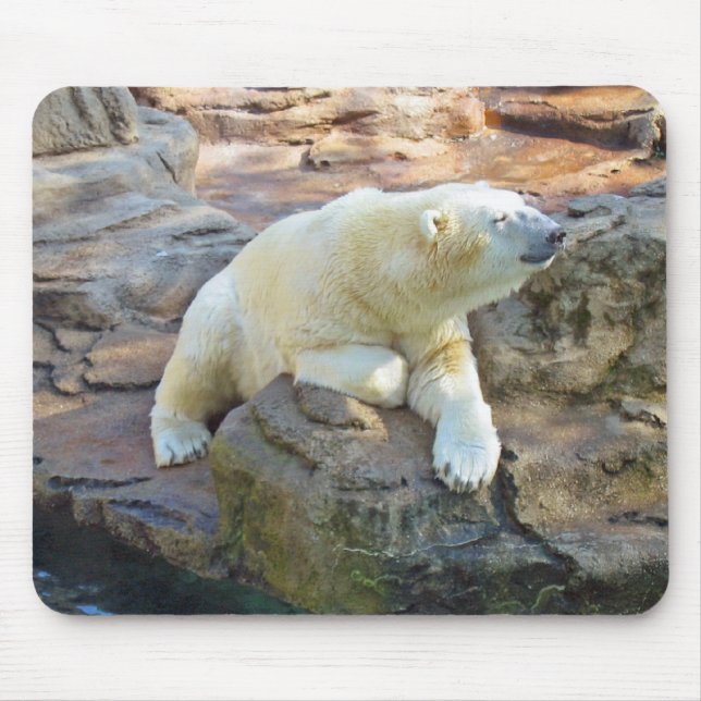 Alfombrilla De Ratón Oso polar Mousepad (Frente)