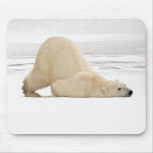 Alfombrilla De Ratón Oso polar rascándose en la tundra congelada