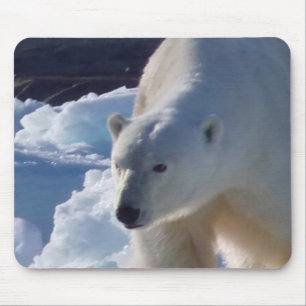Alfombrilla De Ratón Oso polar salvaje en Svalbard, (Spitsbergen)