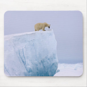 Alfombrilla De Ratón oso polar, Ursus maritimus