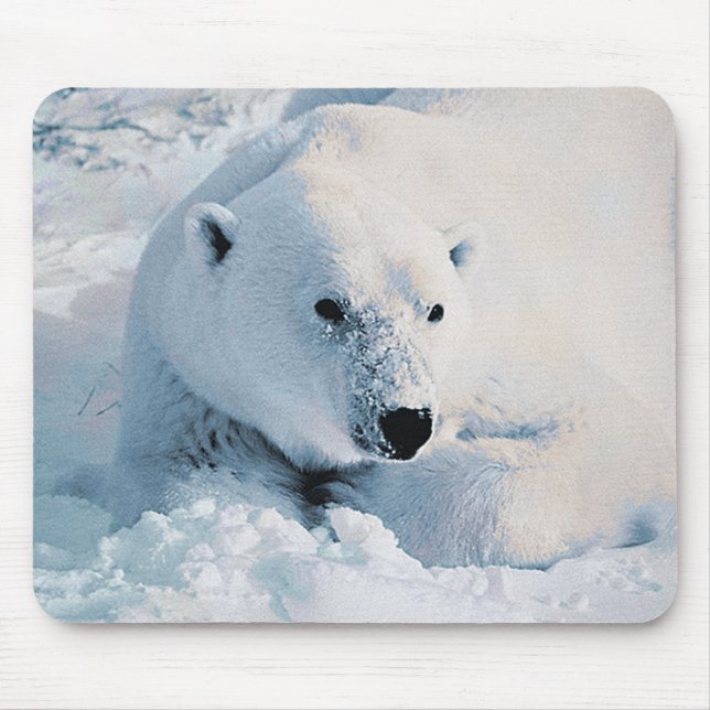 Alfombrilla De Ratón Oso polar y nieve Mousepad (Frente)