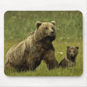 Alfombrilla De Ratón Oso y cachorro de la mamá