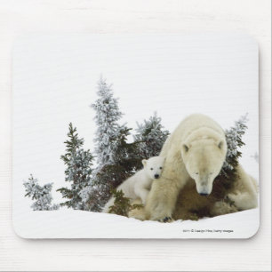 Alfombrilla De Ratón Osos polares en el parque nacional de Wapusk