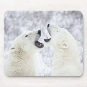 Alfombrilla De Ratón Osos polares que juegan en la nieve