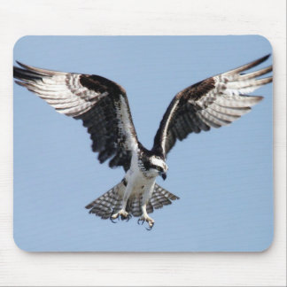 Alfombrilla De Ratón Osprey