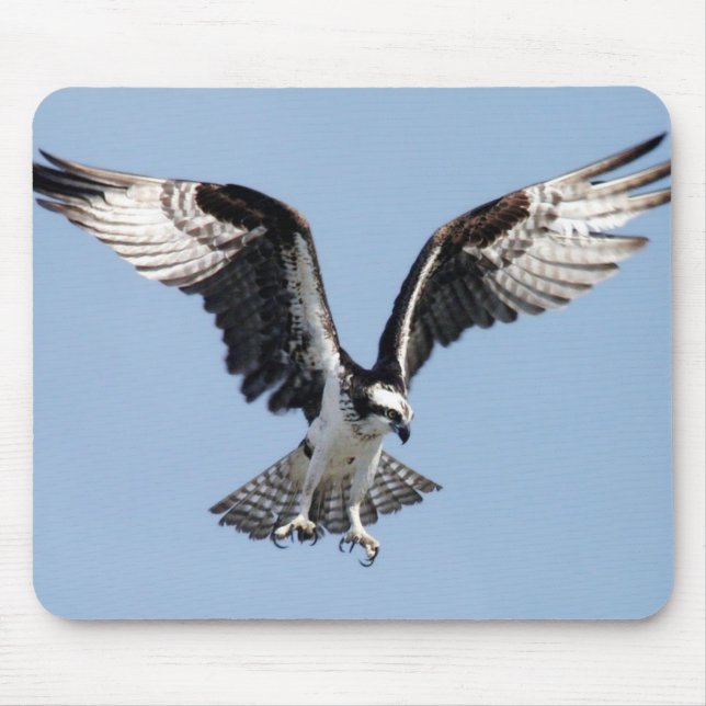 Alfombrilla De Ratón Osprey (Frente)
