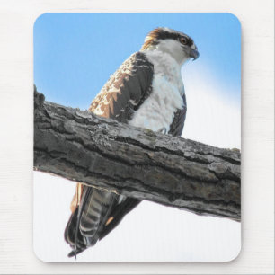 Alfombrilla De Ratón Osprey