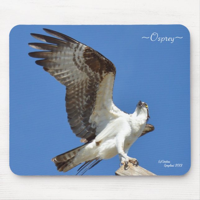 Alfombrilla De Ratón Osprey alas Mousepad (Frente)