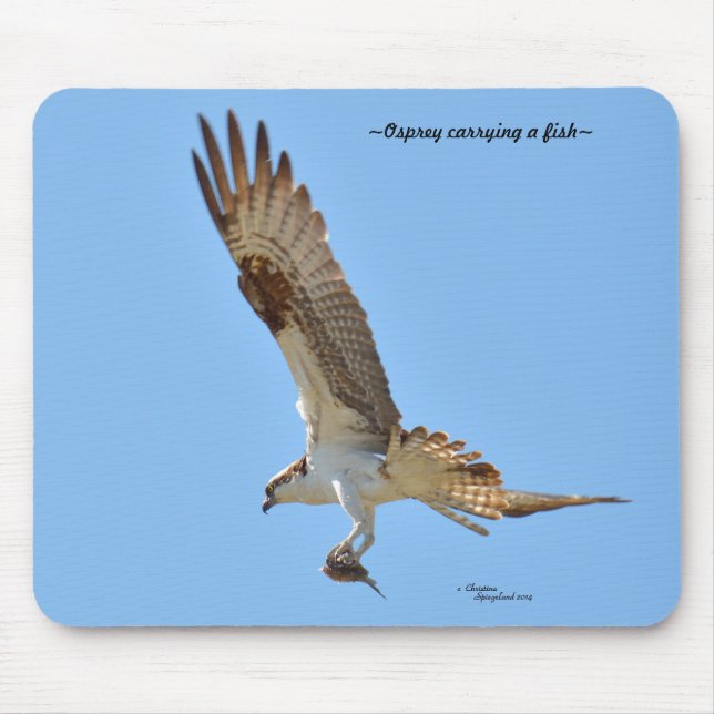 Alfombrilla De Ratón Osprey con peces Mousepad (Frente)
