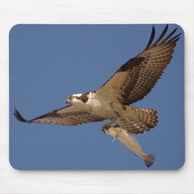 Alfombrilla De Ratón Osprey Fisher (Frente)