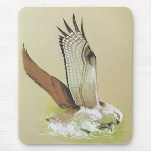 Alfombrilla De Ratón Osprey - haliaetus del Pandion
