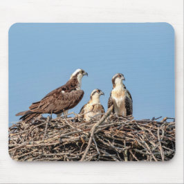 Alfombrilla De Ratón Osprey mamá con sus hijos